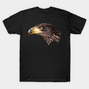 Close-up of an immature American bald eagle T-Shirt